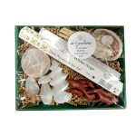 Home Cleansing Smudge Kit Set (Selenite)